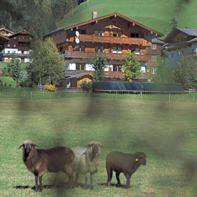 Ferienpension Senfter Innervillgraten Exteriér fotografie